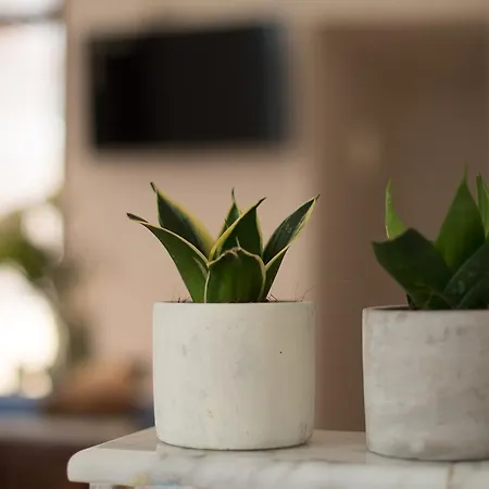 Mare Nostrum Prázdninový dům Castellammare del Golfo