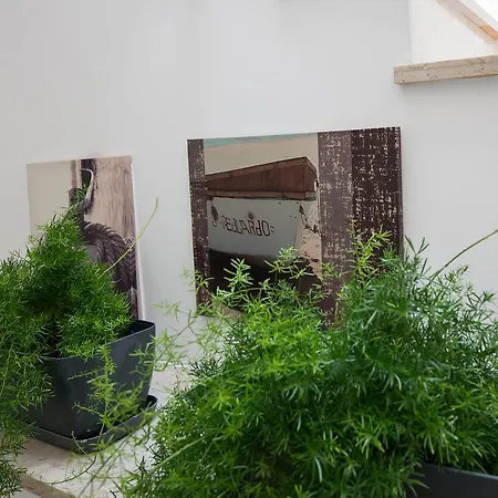 Prázdninový dům Mare Nostrum *