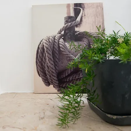 Mare Nostrum Prázdninový dům Castellammare del Golfo