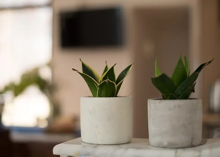 Mare Nostrum 펜션 카스텔라마레델골포