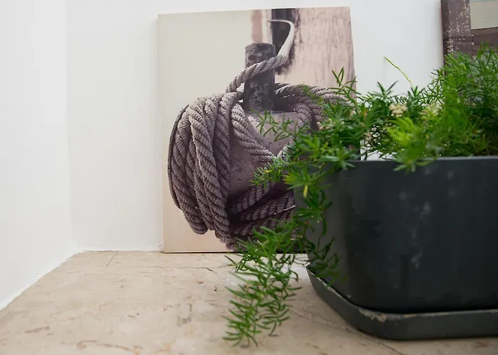 Mare Nostrum 펜션 카스텔라마레델골포